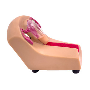 Modelo de entrenamiento de condones intrauterinos para mujer - Product Image 6