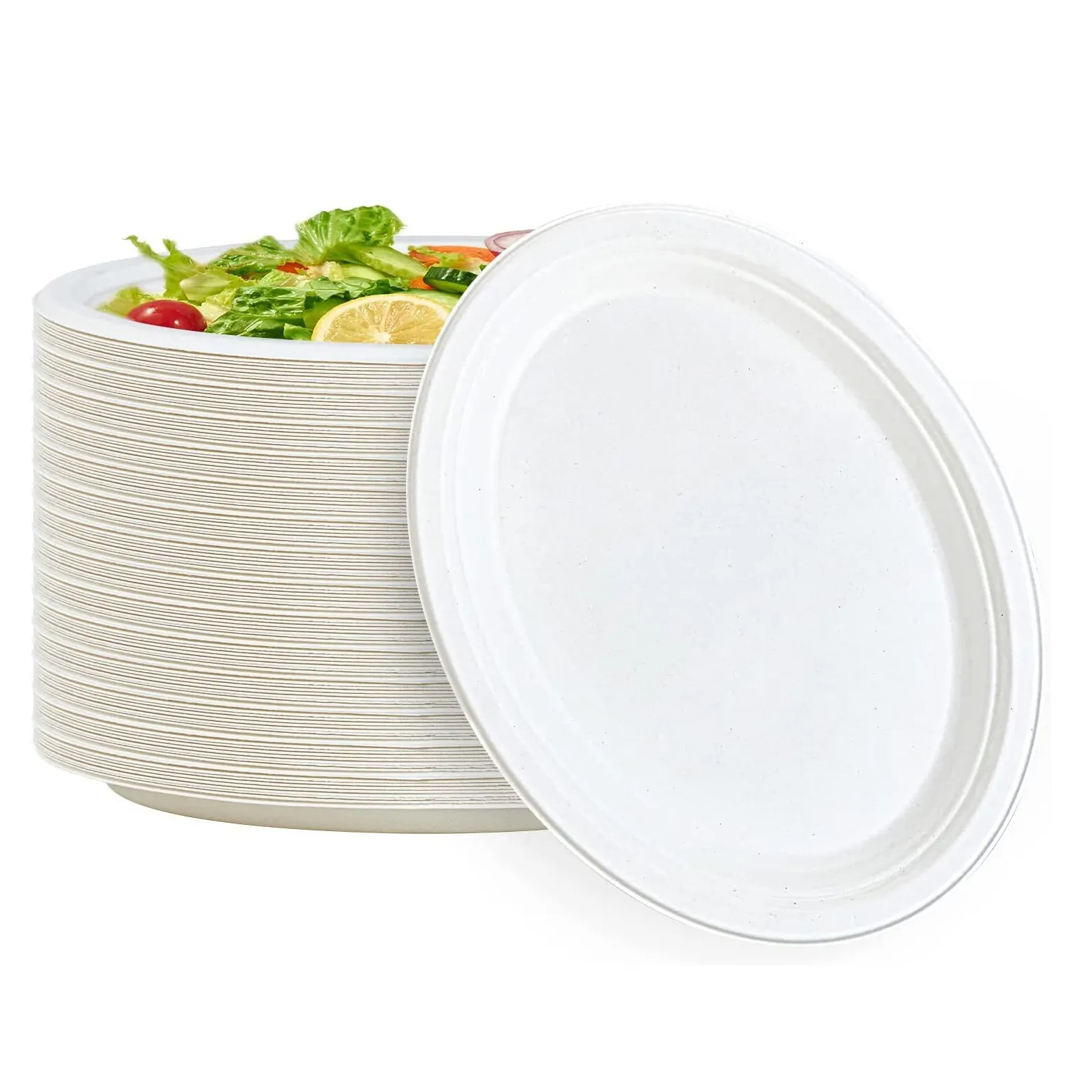 Disposable white bagasse plate 100% compostable 10 inch super strong restaurant bagasse plate