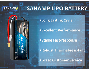 11.1v 80c 5200mah 3S 리튬 이온 배터리 팩 EC3 커넥터 하드케이스 (고급 애플리케이션) - Product Image 3