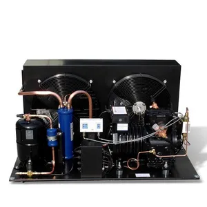 Hemat Energi Semi Hermetic Pendingin Udara Pendingin Condensing Unit