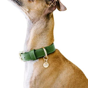 <span class=keywords><strong>Collar</strong></span> de cuero para perro, suministros para mascotas, diseño de moda, estilo simple - Product Image 1