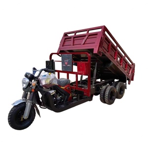 Venta Directa de Fábrica, Motocicleta Eléctrica de Carga de 300 CC, Triciclo para Adultos, Motocicleta Económica de 9 Ruedas - Product Image 1