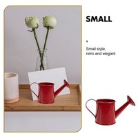 Fournitures de jardin petit arrosoir rouge métal galvanisé mini pot de fleurs pots de plantes pour enfants maison décorative