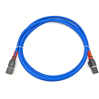Cable de Red de Alta Velocidad HOTION 26AWG UTP CAT6 de 8 Conductores de Cobre con Cubierta Antipolvo de 1m-4m