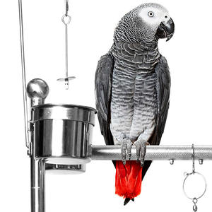 Petit support ornemental pour oiseaux Support pour perroquet en acier inoxydable avec chaîne de pied Fournitures pour oiseaux de compagnie - Product Image 1