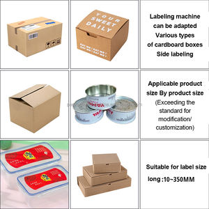 Etiquetadora Automática de Bolsas de Cartón y Plástico con Motor Central para Bolsas de PE, Modelo DW115 - Product Image 5