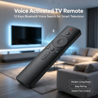 Control Remoto de 12 Teclas con Activación por Voz para Smart TV LCD, Android TV Box, Carcasa Personalizada OEM ODM, Suministro de Fábrica