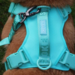 <span class=keywords><strong>Harness</strong></span> Anjing Sport Desainer Baru Warna Kustom, Tali dan <span class=keywords><strong>Harness</strong></span> Anjing Nylon Sederhana Berbahan Jaring Lembut dan Bernapas - Product Image 1
