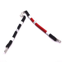 Maßgefertigter 70mm² 200A Verzinnter Kupfer 220V Auto-Steckverbinder 241225-06 PVC-Isolierter Kabelbaum für Neue Energie-Batterien