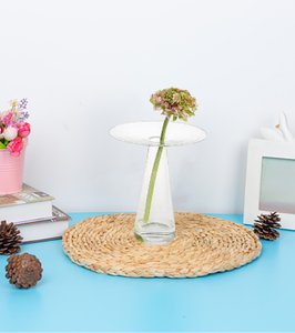 <span class=keywords><strong>Vase</strong></span> personnalisé en <span class=keywords><strong>verre</strong></span> transparent à haute teneur en borosilicate <span class=keywords><strong>soufflé</strong></span> à la main <span class=keywords><strong>Vase</strong></span> moderne à fleur simple de table - Product Image 2