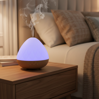 Diffuseur d'huiles essentielles électrique ultrasonique pour aromathérapie, humidificateur d'ambiance pour maison, hôtel, bureau, spa