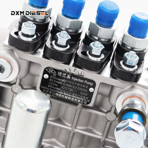 Ensemble de pompe d'injection DXM BQ2000/BH4QT85R9, numéro de commande 4QT275bz-1, vitesse 1200 tr/min. 4QT275BZ-1 Bh4qt85r9 Moteur Ens - Product Image 4