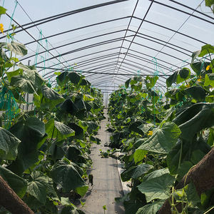 Garden Bee Farming Uv Light Conversion Greenhouse <span class=keywords><strong>Film</strong></span> Fournisseurs agricoles, <span class=keywords><strong>Film</strong></span> plastique pour serre - Product Image 6