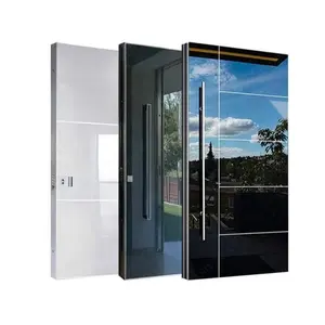 Exterior Doors Pivot Door Modern Stainless Steel Entry Aluminum Strips Front Door