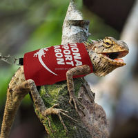 Harnais et laisse réglables pour reptiles et lézards, harnais de marche souple de type gilet pour dragon barbu