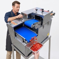 Machine de découpe automatique commerciale pour bandes et dés de viande (bœuf, porc, poulet) – Idéale pour la transformation alimentaire – Prix usine