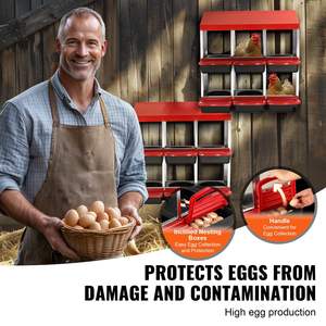 DB Wholesale Nichoir à poulets en acier à 6 compartiments un type de poulailler avec nichoirs inclinés automatiques pour un usage domestique et lointain - Product Image 4