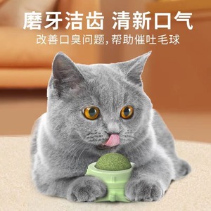 ของเล่นแมวแบบลูกบอลแคทนิป ของเล่นกัดแทะสำหรับแมว - Product Image 2