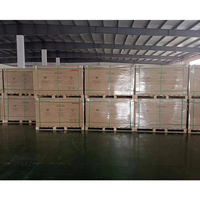 Panneaux solaires LONGi 615W 620W 625W 640W 645W 650W, module PV 650 Watt, panneau solaire à demi-cellules de type N avec certification CE TUV