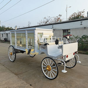 Cercueil électrique funéraire tiré par des chevaux Q235B en acier, couleur personnalisée, prix de vente - Product Image 6