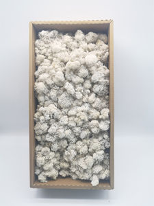 Musgo suelto en conserva, musgo artesanal, musgo Natural, adecuado para macizos de flores, manualidades, decoración artística para el hogar y la Oficina - Product Image 6