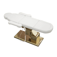 Lit de beauté électrique haut de gamme chaise de thérapie de traitement du visage lit de cils cosmétique lit de Massage électrique multifonctionnel