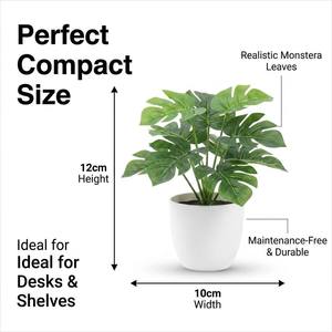 Plante miniature <span class=keywords><strong>en</strong></span> <span class=keywords><strong>pot</strong></span> haute fidélité de 12 cm, verdure artificielle sans odeur pour les salons et bureaux intérieurs - Product Image 6