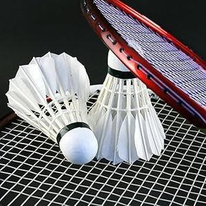 Bwf produttore livello torneo di grado Super classe piuma d'oca Badminton volano per la formazione di giocatori professionisti - Product Image 5