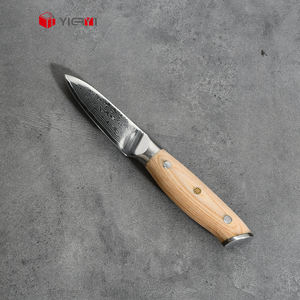 Logo personalizzato 67 strati VG10 damasco in acciaio piccolo coltello da cucina 3.5 pollici frutta coltello con manico in legno Pakka - Product Image 1