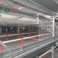 Nouvelles cages à poulets de chair populaires avec équipement automatique pour l'élevage avicole