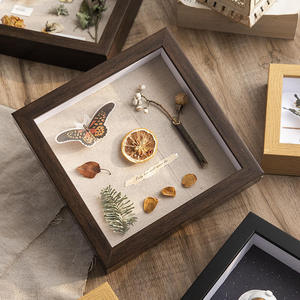 Caja de Exhibición de Madera Natural para Especímenes de Mariposas, Personalizable OEM/ODM, Marco Botánico de Marca Privada para Venta al Por Mayor - Product Image 4