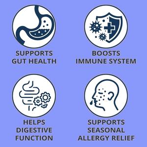 Probióticos para Mascotas OEM ODM, Probióticos para Perros con Prebióticos, Promueven un Microbioma Intestinal Equilibrado, Refuerzan la Salud Inmunológica, Masticables Suaves - Product Image 2