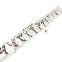 Instruments de musique professionnels vendus directement par les fabricants, flûte Slade à 16 trous en Do