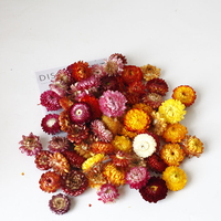 Fleurs séchées en gros, en vrac, éternelles, avec fleurs pressées mélangées, matériel floral pour la décoration intérieure, cadre photo, parfumées