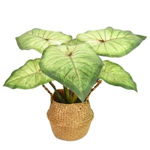 Faux feuillage imprimé en 3D grande plante caladium feuille à feuilles persistantes artificielle pour la décoration de <span class=keywords><strong>bonsaï</strong></span> - Product Image 1