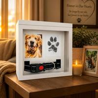 Boîte de présentation commémorative pour animaux de compagnie, cadre en bois, façade en verre, pour cendres, photos, colliers et empreintes de pattes, cadeau, vente en gros