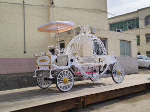 Charrette à Chevaux Électrique de Luxe de Haute Qualité avec Rideau de Pluie, Charrette Royale Tirée par des Chevaux, Cheval de Mariage à Vendre - Product Image 4