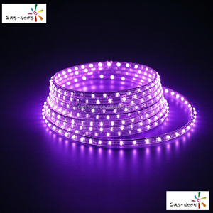 Luz de neón LED personalizada, tira de neón LED para uso en exteriores - Product Image 6