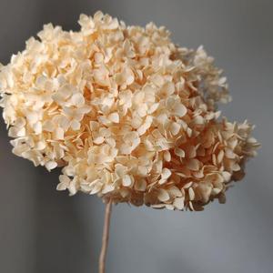 <span class=keywords><strong>Bouquet</strong></span> d'hortensias <span class=keywords><strong>séchées</strong></span> de haute qualité, 24 pièces, petites feuilles, fausses <span class=keywords><strong>fleurs</strong></span>, pour la décoration de la maison - Product Image 3