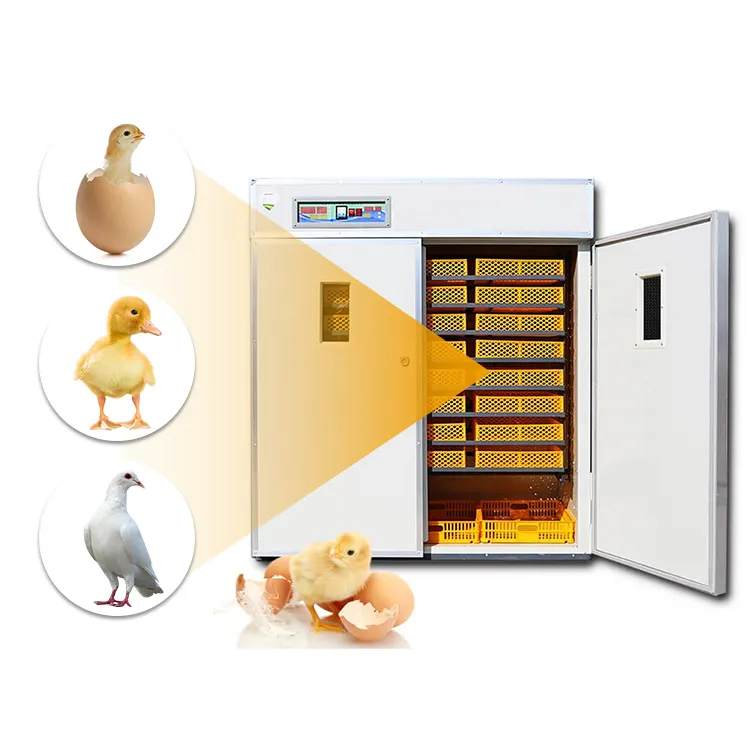 Incubadora y incubadora automática de huevos, equipo de granja de aves de corral, pollo