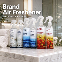 Désodorisant Voiture Premium Longue Durée SOCELI 250ml 500ml Parfum Dérivé des Plantes Élimination Efficace des Odeurs Usine Chine