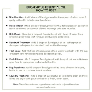 Marque privée chinoise 100% huile essentielle d'eucalyptus pure et naturelle 1KG huile de globulus 80% cinéole avec huile d'eucalyptus en vrac - Product Image 5