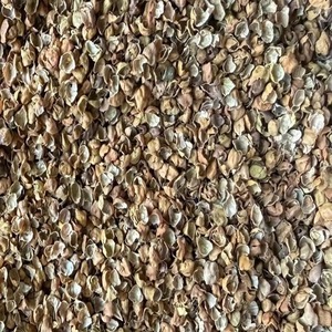 Cáscara de Chana Negra 100% Natural Secada al Sol de Uttar Pradesh, de Alta Demanda, para la Industria de Alimentación y Nutrición de Ganado, Disponible para Venta al Por Mayor - Product Image 2