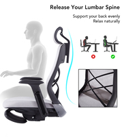 Chaise de bureau ergonomique moderne en promotion avec support lombaire, coussin en mousse haute densité, chaise d'ordinateur en tissu maillé pour les États-Unis et le Canada