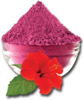 Bubuk Ekstrak Herbal Hibiscus Alami Kelas Makanan untuk Perawatan Kulit dan Rambut, Masker Wajah, Ekstrak Pelarut, Kemasan Besar Spiry