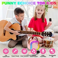 K12 Mini Karaoke Machine 2 Mic Draadloze Microfoon LED Licht Subwoofer Speaker voor Persoonlijk Gebruik op de Computer of Zingen