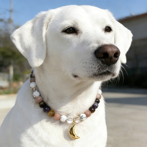Collar para Mascotas con Cristales Naturales Curativos Duraderos 2026, Cuentas de Cristal Brillantes para Perros, Estilo Vintage Elegante - Product Image 3