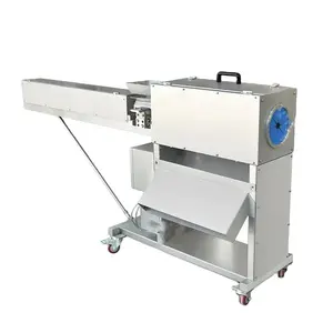 Commercial fully automatic carrot peeler kitchen stainless steel blade carrot cleaning machine peeling machine