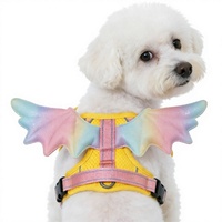 Harnais de poitrine Aile d'Ange avec ailes en nylon 3D, fermeture à boucle, laisse, lavable à la main et en machine pour chats et chiens