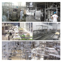 Broyeur à colloides entièrement automatique en acier inoxydable multi-modèles à haute capacité, machine à broyer les cacahuètes, le soja et le tahini
